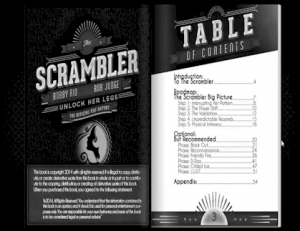 441-scrambler